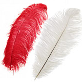 Ostrich Feather Plume 55-60 cm